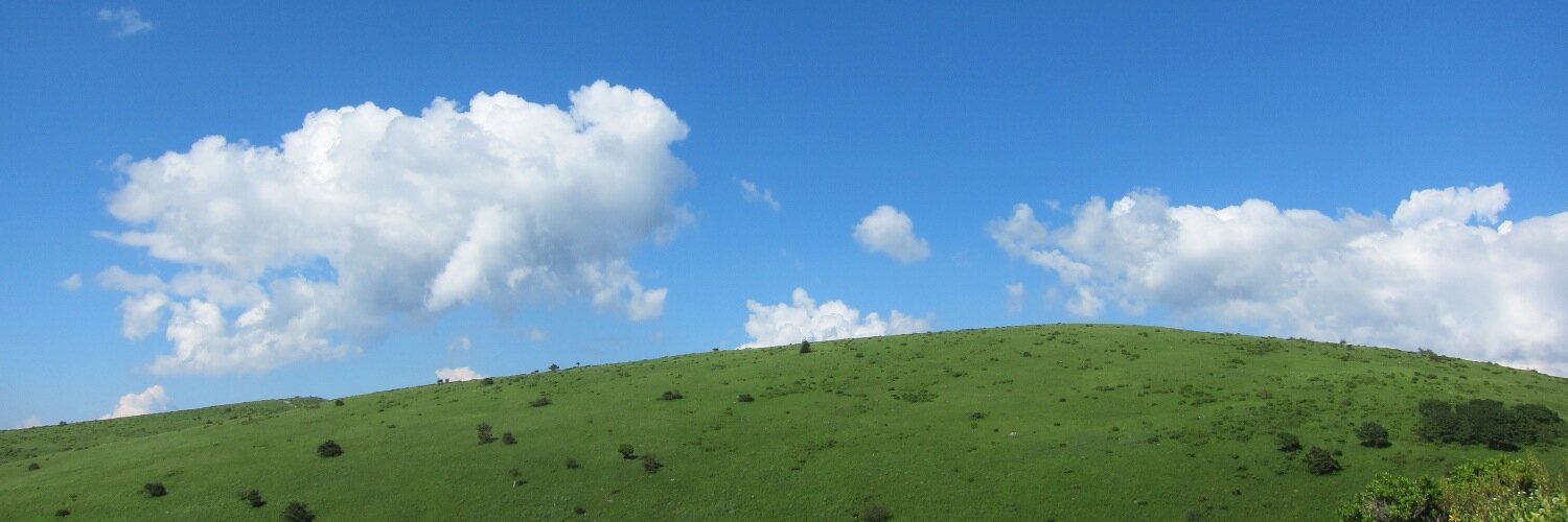 egoshi2007's profile banner image