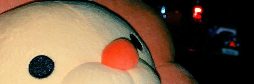 dandelionssx's profile banner image