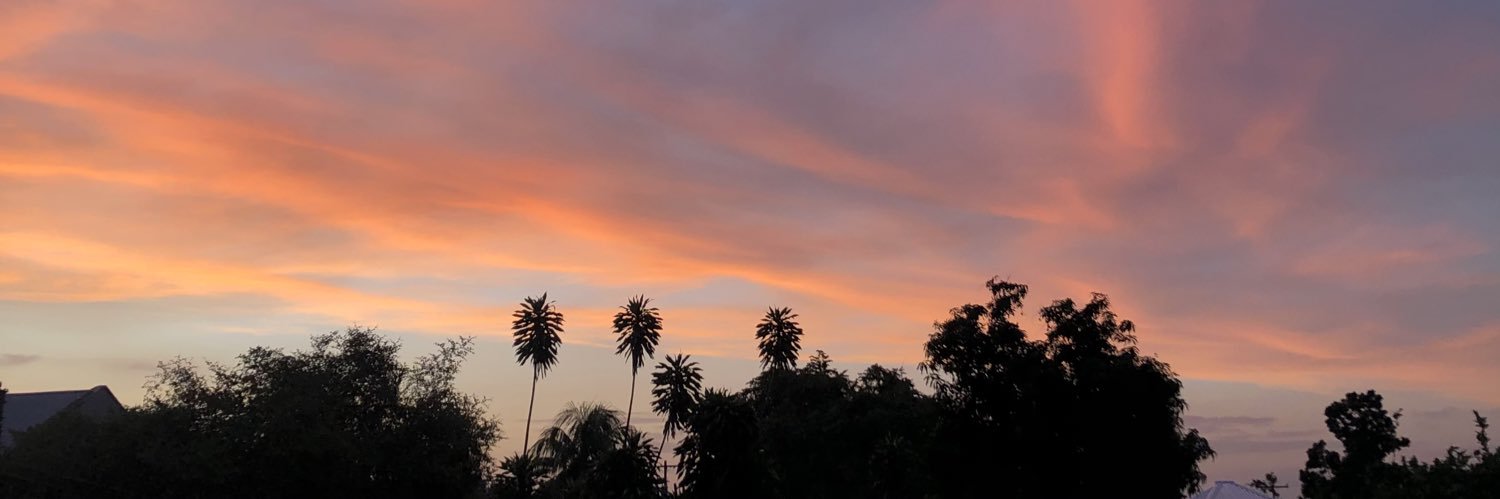 NaomyVelsquez2's profile banner image