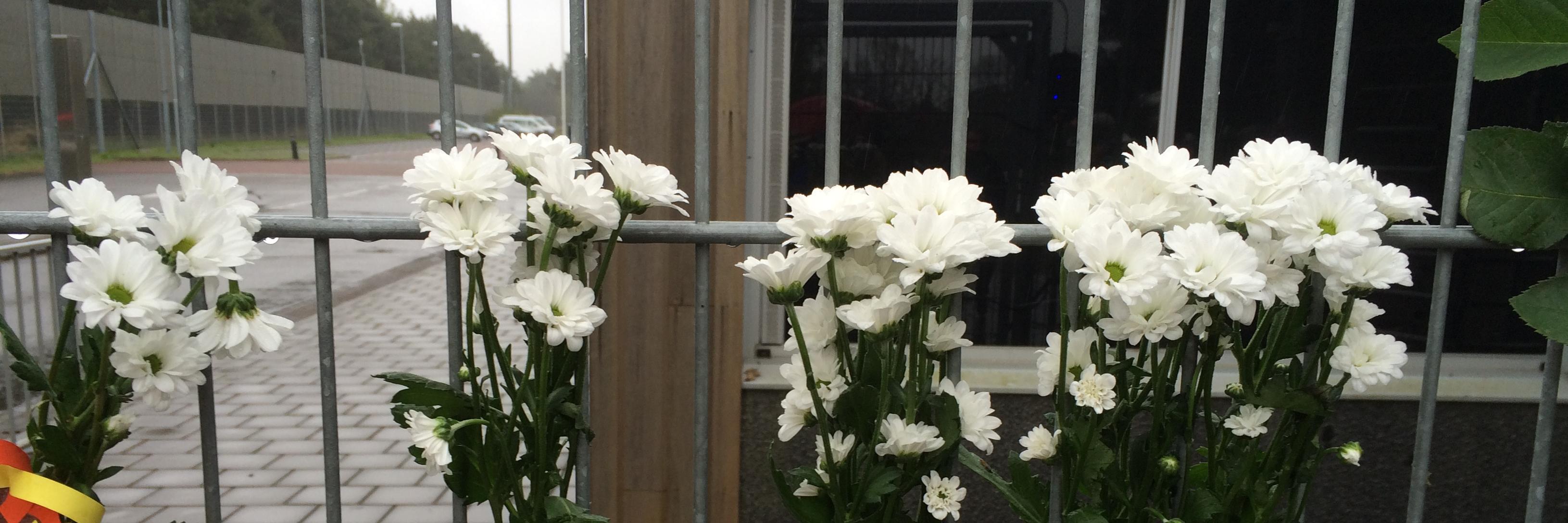 Meldpunt Vreemdelingendetentie banner