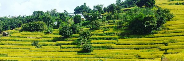 ashokpillar Profile Banner