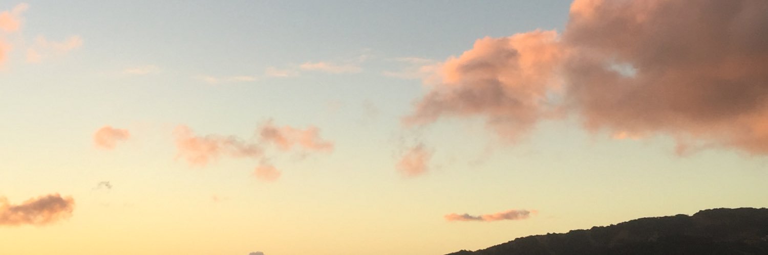 trappajack's profile banner image