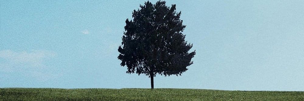 Matías Anglés banner