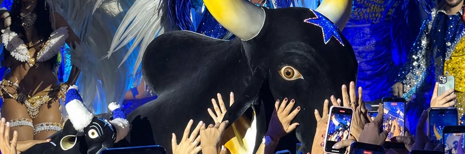 tracajadojapiim's profile banner image