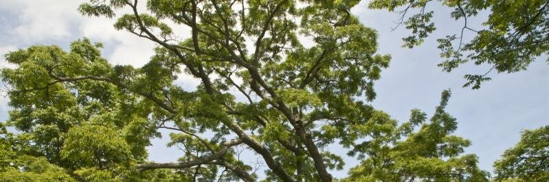 Joe Meilinger banner