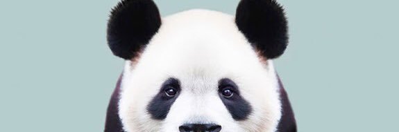 _o3553o_'s profile banner image