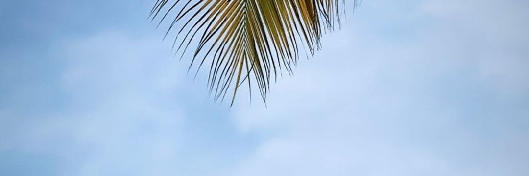 لیلی قصه ها banner