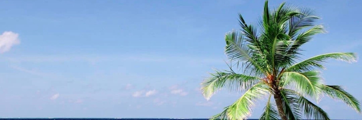 Debannet banner