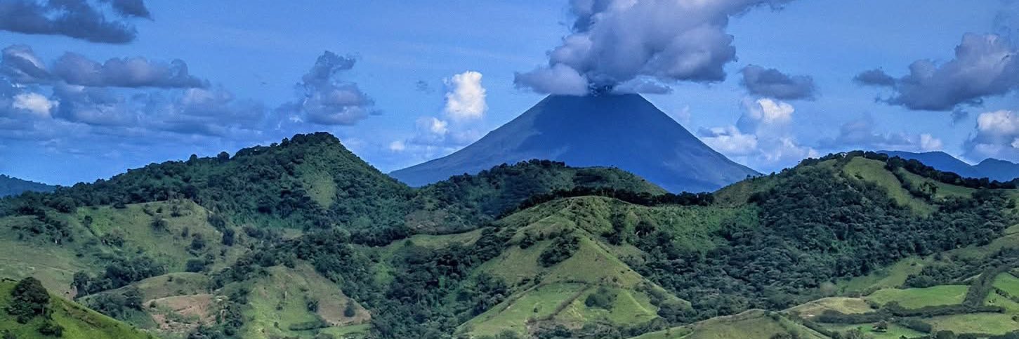 mostly positive phenn 🤠 banner