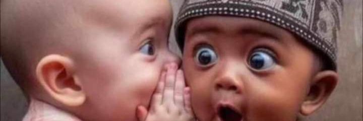 Lion_Aluko's profile banner image
