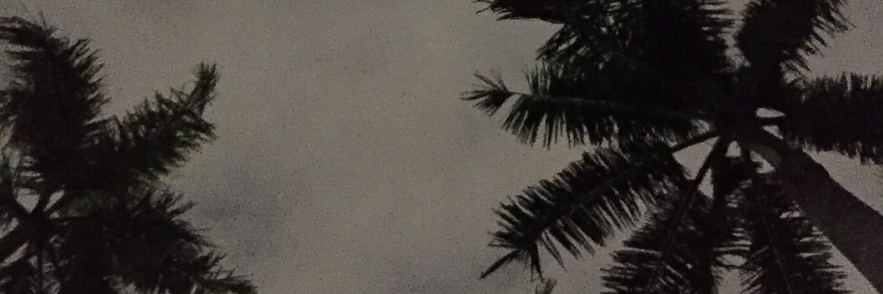 Lisa612_'s profile banner image