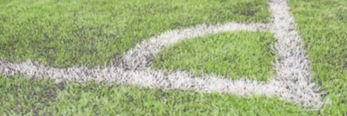 View From the Touchline banner