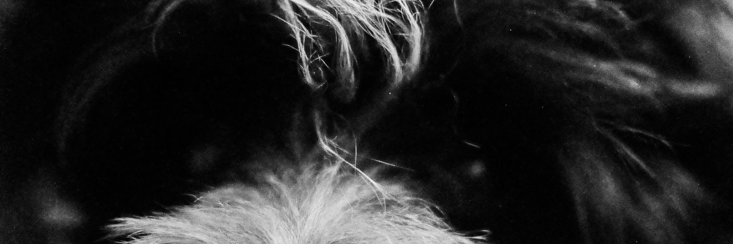 DilimaR_A's profile banner image