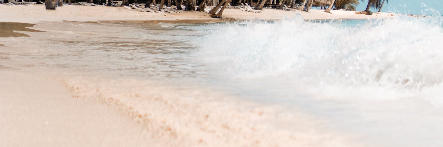 León Sanhuesa banner