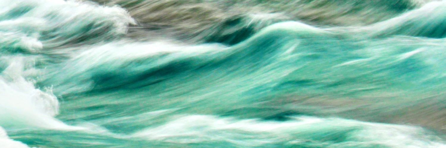 vance perry banner