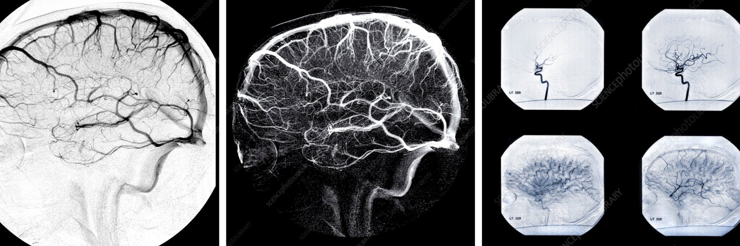 Michael Tokov, DO banner