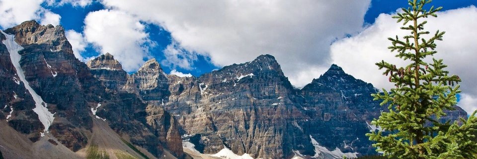 rachwignall's profile banner image