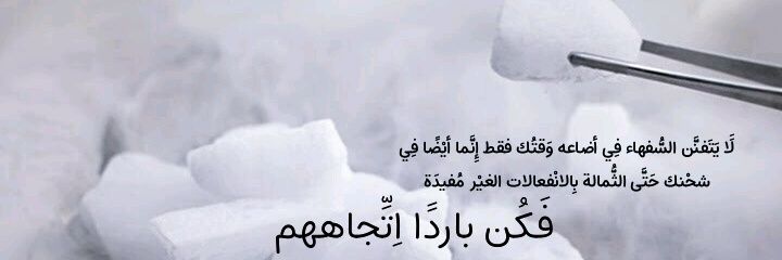 🎲🦋 banner