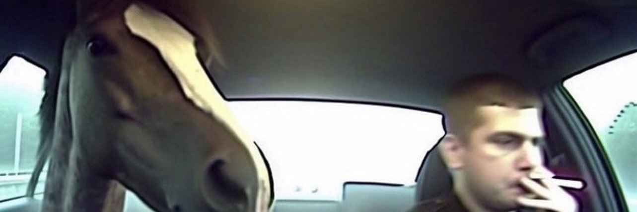 gleip ✦ banner