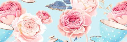 palomacostaf's profile banner image