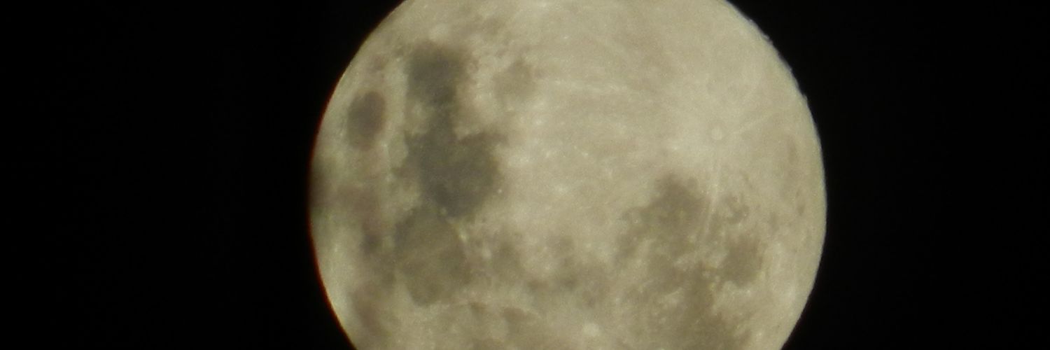 claraalmossar's profile banner image