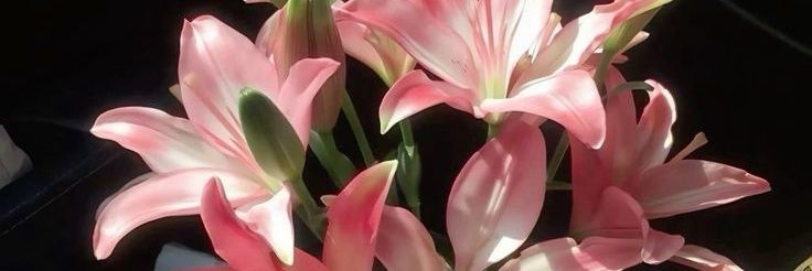 sidezizi's profile banner image