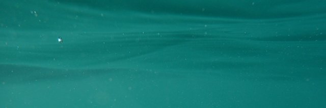 TYFGuides's profile banner image
