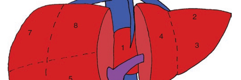 LiverPsych's profile banner image
