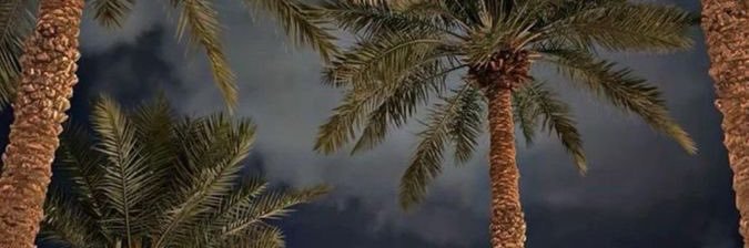 __r03o's profile banner image