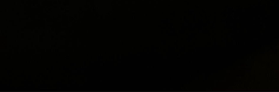 prof banner
