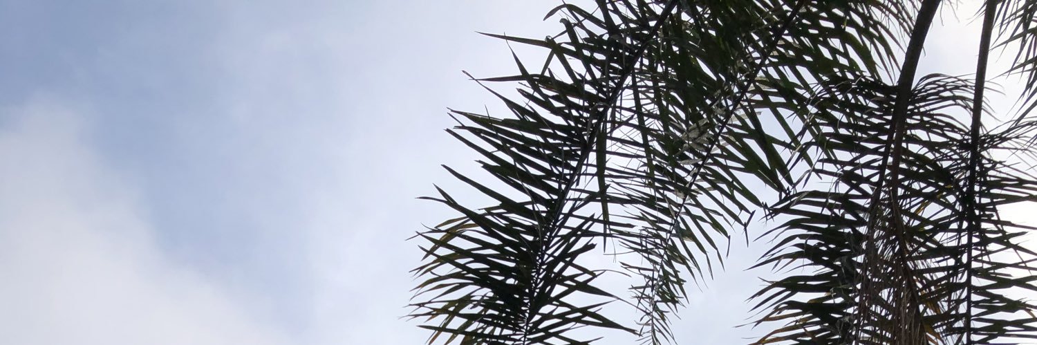 carolbozza's profile banner image