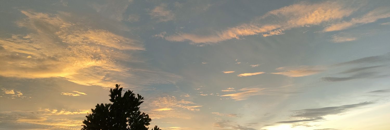 f banner