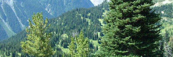 jeffwids Profile Banner