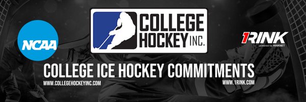 HockeyCommits Profile Banner
