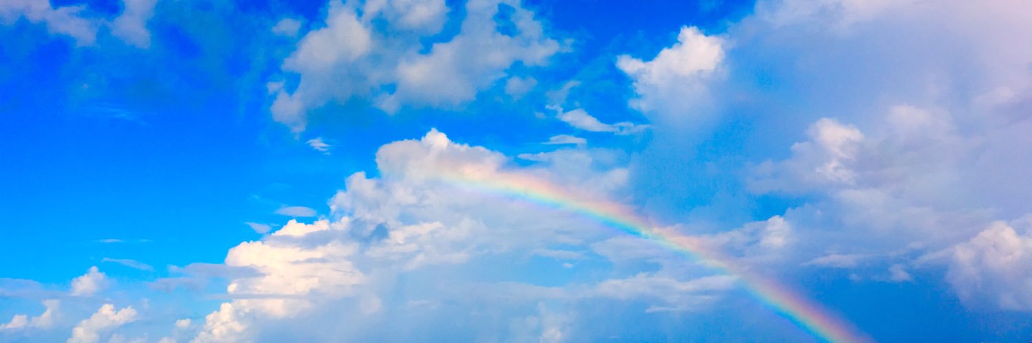 kikizakemax's profile banner image