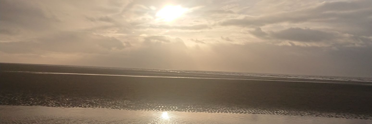 norsecol's profile banner image