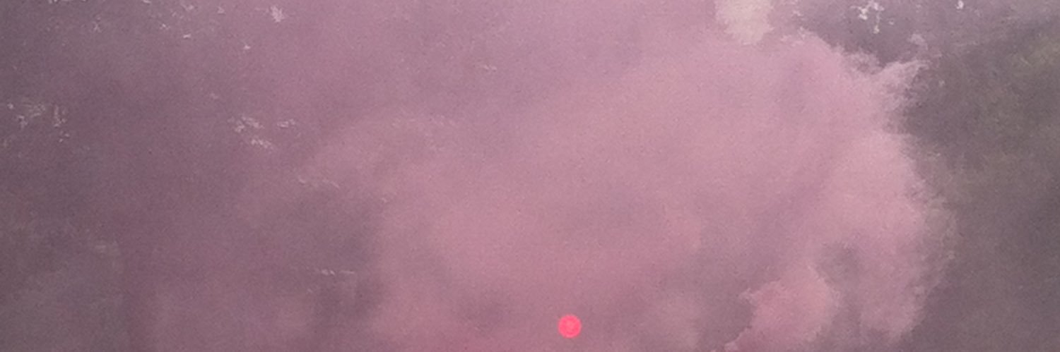 Lou Zucker banner