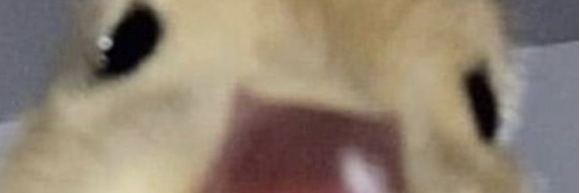 Cheeeesenne's profile banner image
