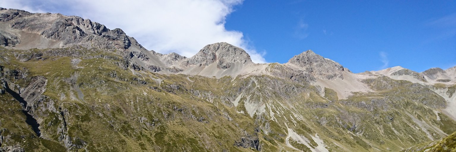 Colin MacGillivray banner