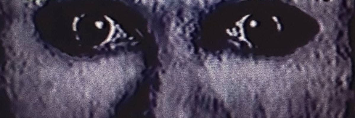 MrSaviorComplex's profile banner image