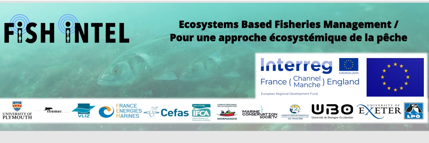 FISH INTEL's banner