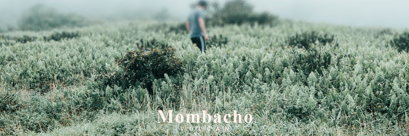 MaxCastrillo's profile banner image