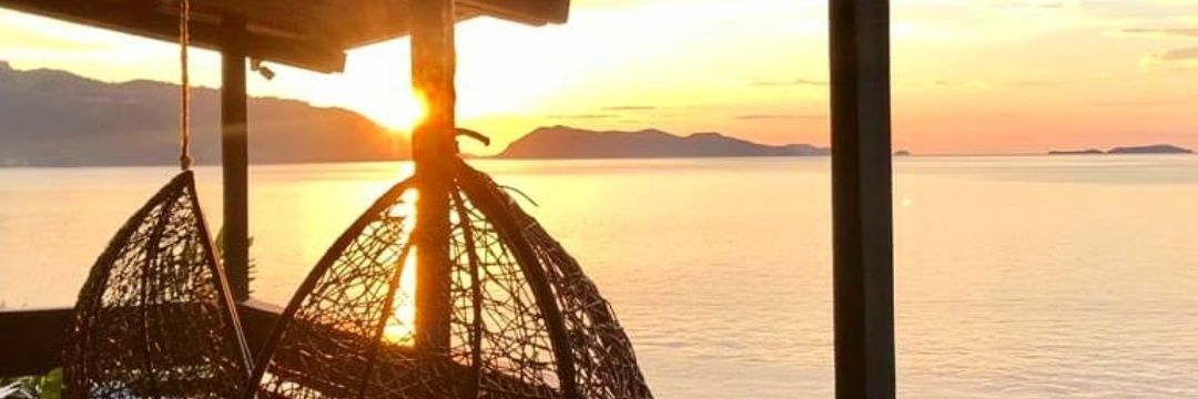 CARPIOF's profile banner image