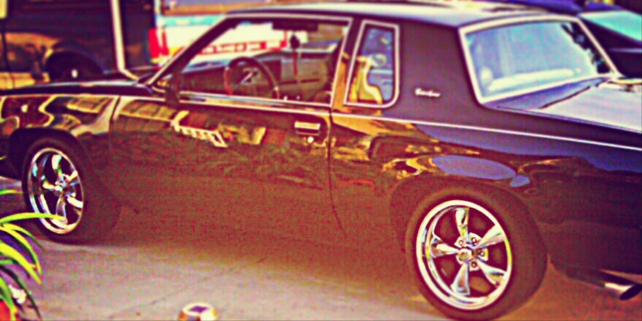 TeddyLofton's profile banner image