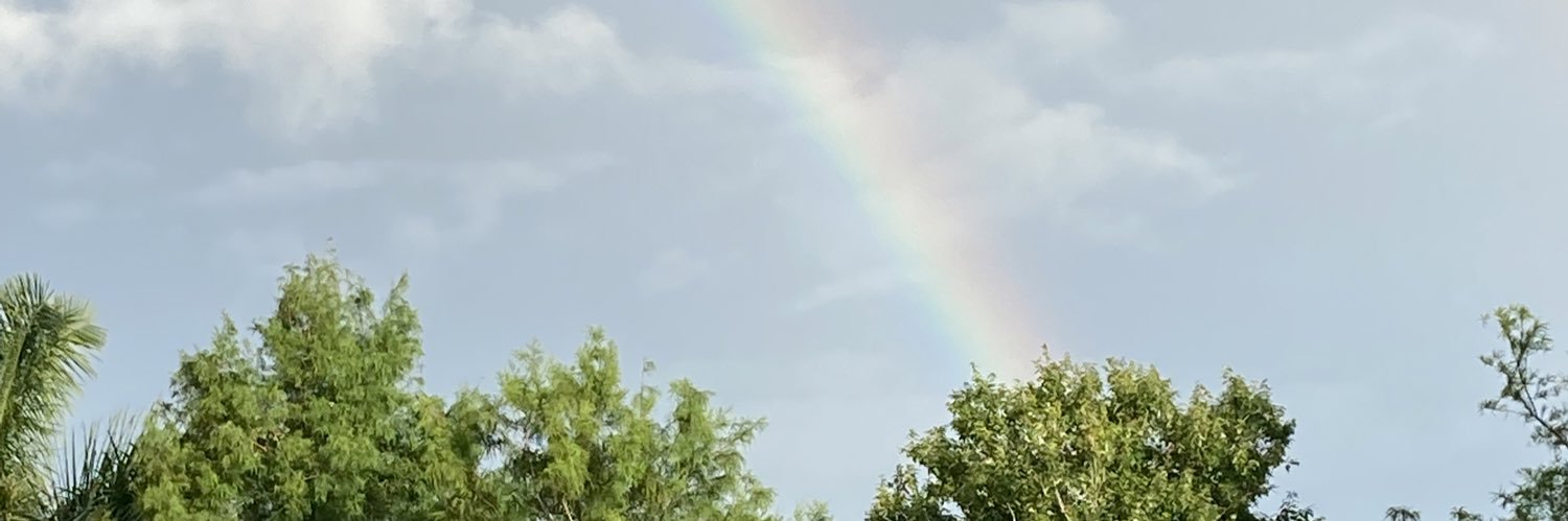 Frito 🐈 Leti 🐈‍⬛ Angel Hope 🐶 😇 🌈🐾❤️ banner