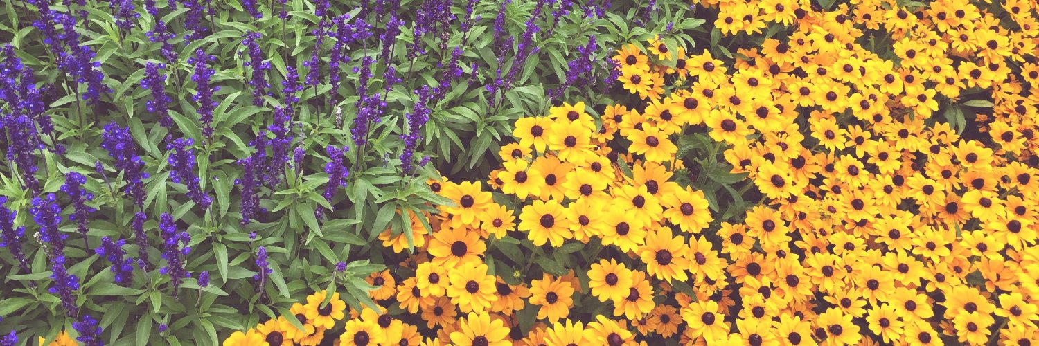 WMU Financial Aid banner