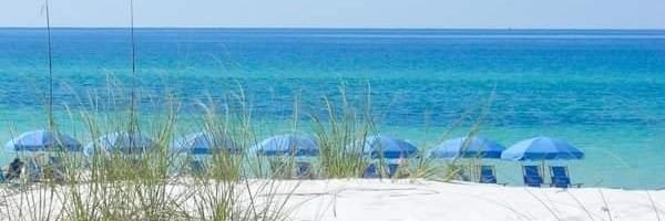 Michael Thurber banner