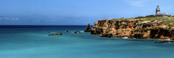 AnneMLeal Profile Banner