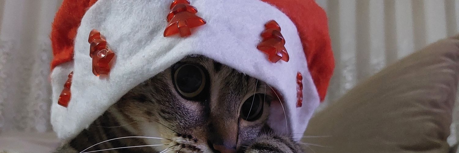 smtycsy's profile banner image