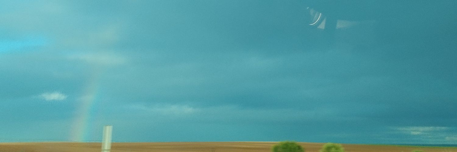 meridelbosque's profile banner image
